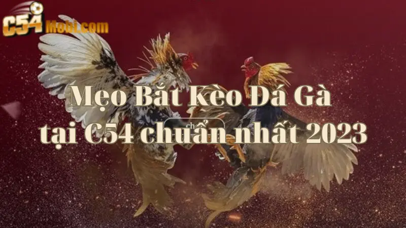 meo-bat-keo-da-ga-tai-c54-chuan-nhat-2023