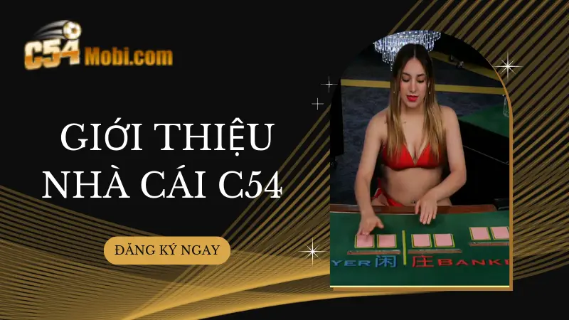 meo-ca-cuoc-casino-c54-tai-sanh-sexy-1