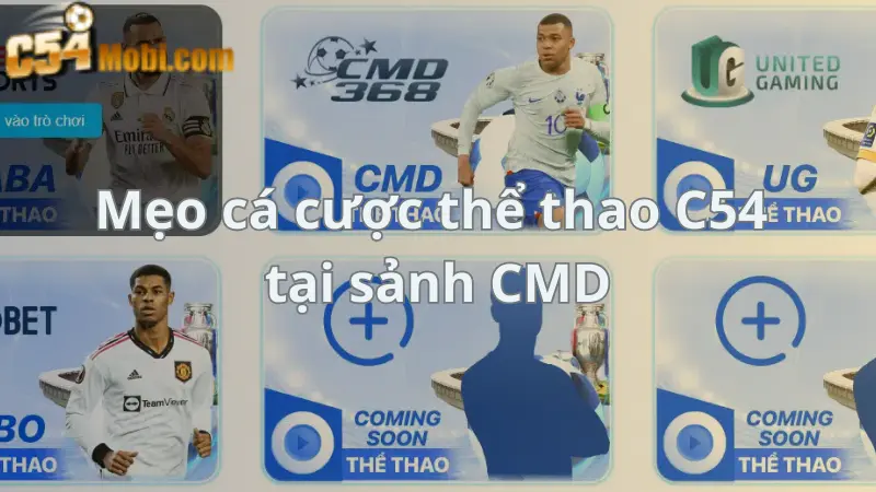 meo-ca-cuoc-the-thao-c54-tai-sanh-cmd