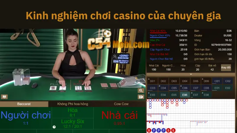 meo-ca-cuoc-casino-c54-tai-sanh-sa-3